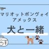 マリオットボンヴォイ　犬と宿泊